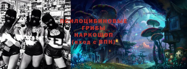 шишки Мегион