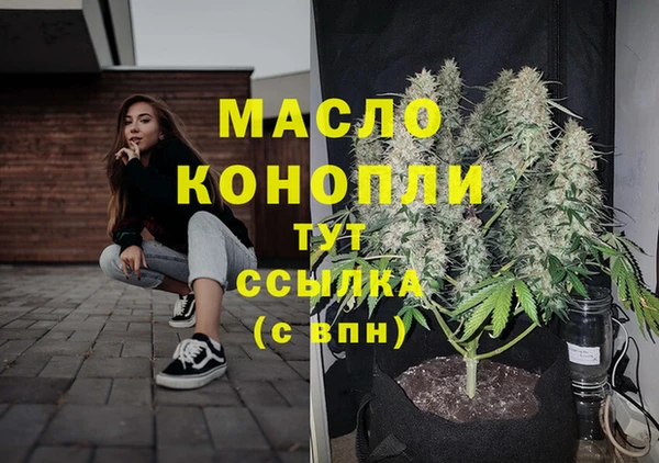 шишки Мегион
