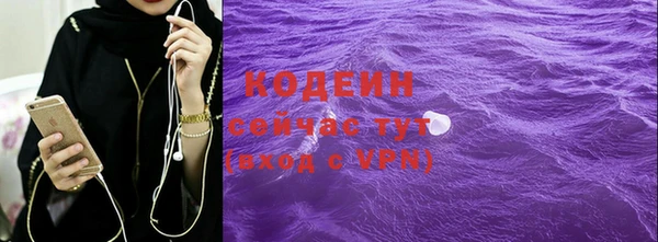 шишки Мегион