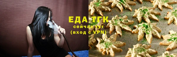 хмурый Ельня