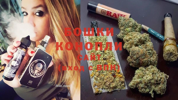шишки Мегион