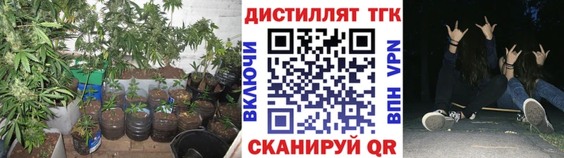 ТГК гашишное масло  Канск 