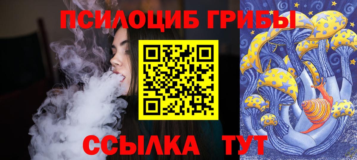 Канск  Галлюциногенные грибы прущие грибы  Вход с VPN 
