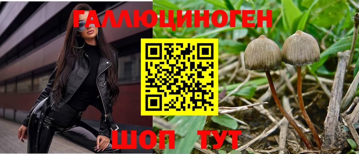 НБОМе Канск