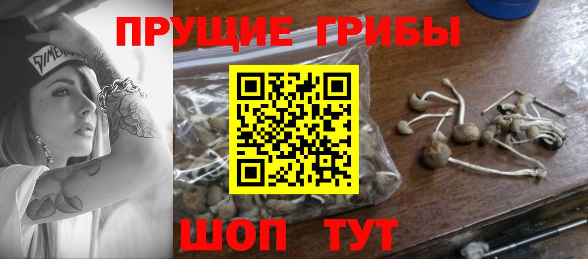 Псилоцибиновые грибы ЛСД Канск
