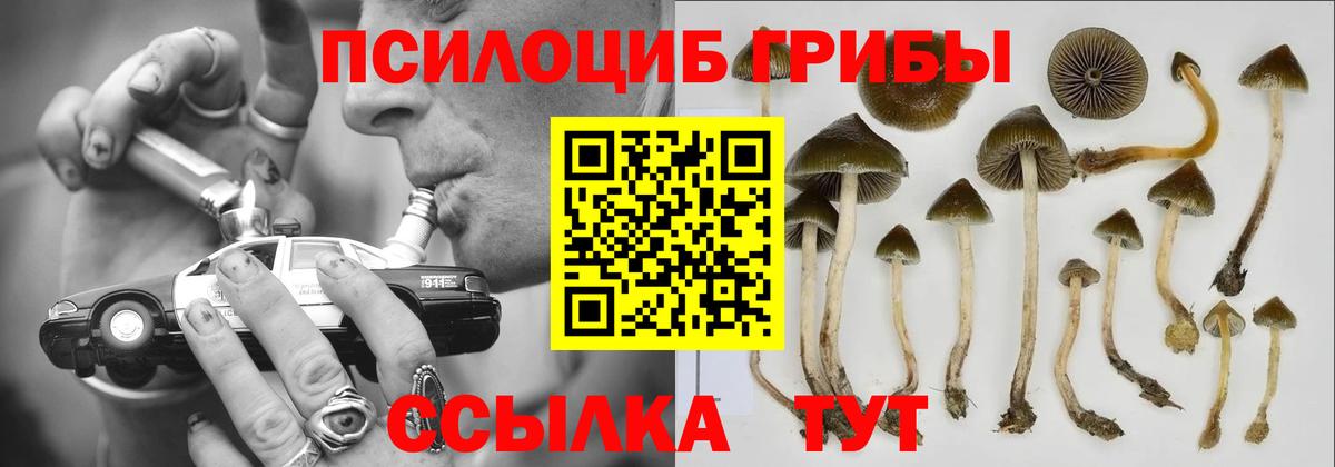 Псилоцибиновые грибы GOLDEN TEACHER  Канск 